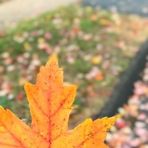 Meet your Posher, Liz